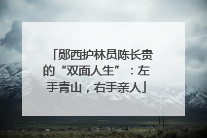 郧西护林员陈长贵的“双面人生”：左手青山，右手亲人