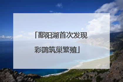 鄱阳湖首次发现彩鹮筑巢繁殖