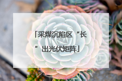 采煤沉陷区“长”出光伏矩阵