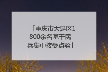 重庆市大足区1800余名基干民兵集中接受点验