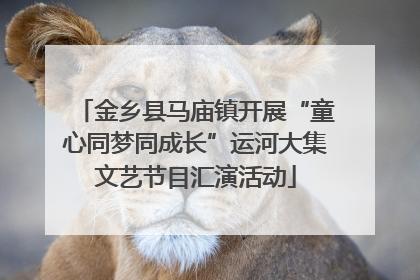 金乡县马庙镇开展“童心同梦同成长”运河大集文艺节目汇演活动