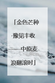 金色芒种·豫见丰收——中原麦浪翻滚时