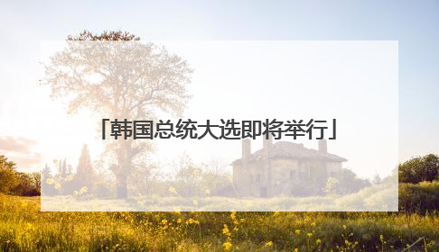 韩国总统大选即将举行