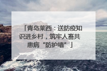 青岛莱西：送防疫知识进乡村，筑牢人畜共患病“防护墙”