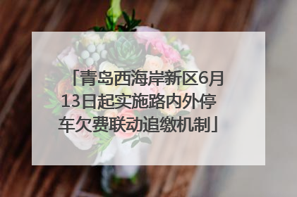 青岛西海岸新区6月13日起实施路内外停车欠费联动追缴机制