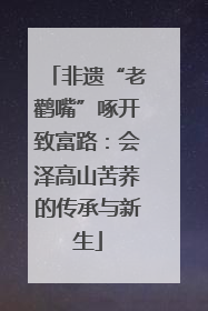 非遗“老鹳嘴”啄开致富路：会泽高山苦荞的传承与新生