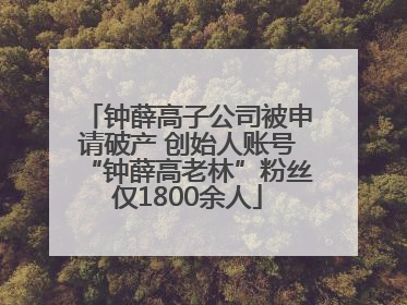 钟薛高子公司被申请破产 创始人账号“钟薛高老林”粉丝仅1800余人