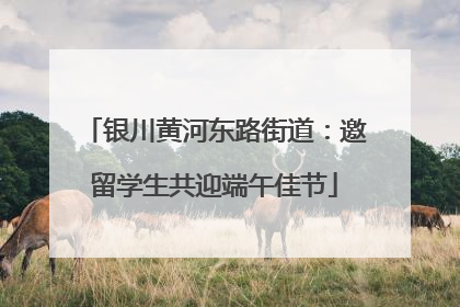 银川黄河东路街道：邀留学生共迎端午佳节