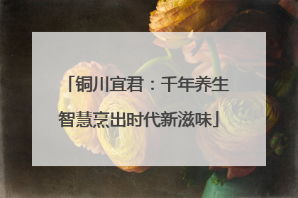 铜川宜君：千年养生智慧烹出时代新滋味