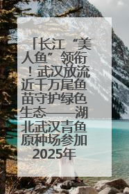 长江“美人鱼”领衔！武汉放流近千万尾鱼苗守护绿色生态——湖北武汉青鱼原种场参加2025年“全国放鱼日”增殖放流活动