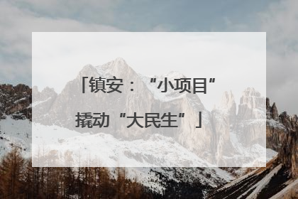 镇安：“小项目”撬动“大民生”