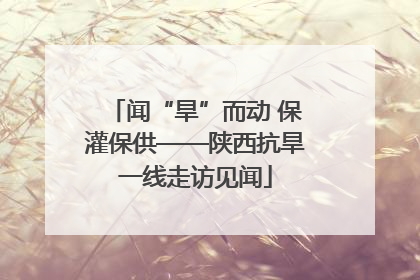 闻“旱”而动 保灌保供——陕西抗旱一线走访见闻