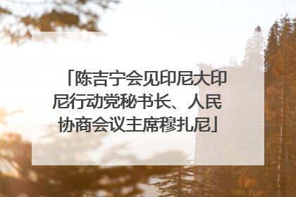 陈吉宁会见印尼大印尼行动党秘书长、人民协商会议主席穆扎尼
