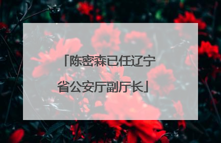 陈密森已任辽宁省公安厅副厅长
