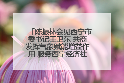 陈振林会见西宁市委书记王卫东 共商发挥气象赋能增益作用 服务西宁经济社会高质量发展