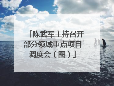陈武军主持召开部分领域重点项目调度会（图）