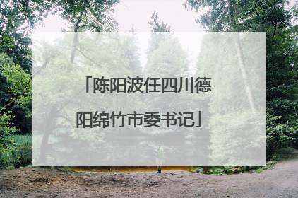 陈阳波任四川德阳绵竹市委书记