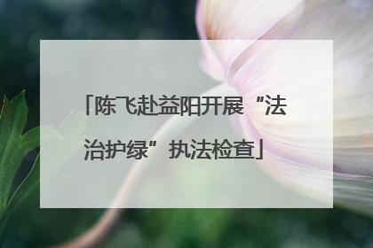 陈飞赴益阳开展“法治护绿”执法检查