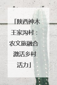 陕西神木王家沟村：农文旅融合 激活乡村活力