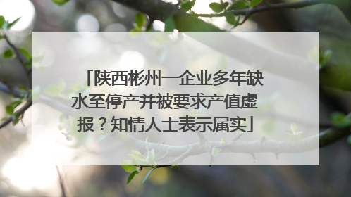 陕西彬州一企业多年缺水至停产并被要求产值虚报？知情人士表示属实