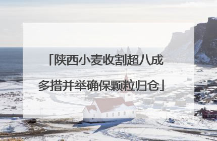 陕西小麦收割超八成 多措并举确保颗粒归仓