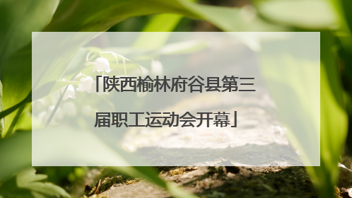 陕西榆林府谷县第三届职工运动会开幕