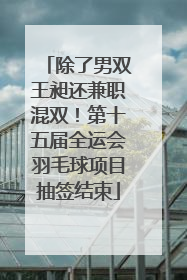 除了男双王昶还兼职混双！第十五届全运会羽毛球项目抽签结束