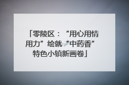 零陵区：“用心用情用力”绘就“中药香”特色小镇新画卷