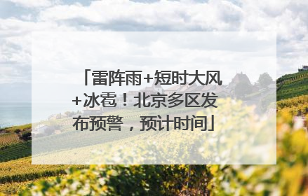 雷阵雨+短时大风+冰雹！北京多区发布预警，预计时间