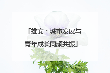 雄安：城市发展与青年成长同频共振