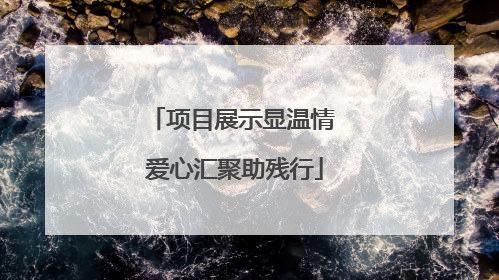 项目展示显温情 爱心汇聚助残行