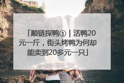 顺链探鸭①｜活鸭20元一斤，街头烤鸭为何却能卖到20多元一只