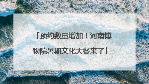 预约数量增加！河南博物院暑期文化大餐来了
