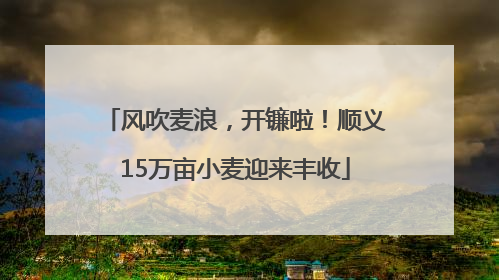 风吹麦浪，开镰啦！顺义15万亩小麦迎来丰收