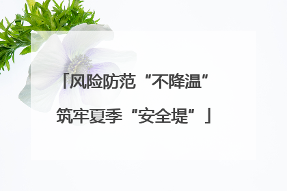 风险防范“不降温” 筑牢夏季“安全堤”