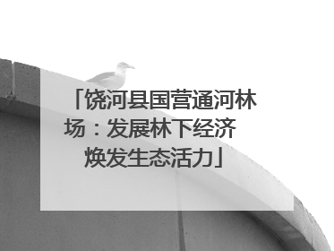 饶河县国营通河林场：发展林下经济 焕发生态活力