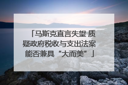 马斯克直言失望 质疑政府税收与支出法案能否兼具“大而美”