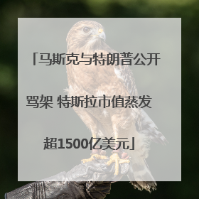 马斯克与特朗普公开骂架 特斯拉市值蒸发超1500亿美元