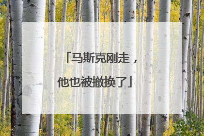 马斯克刚走，他也被撤换了