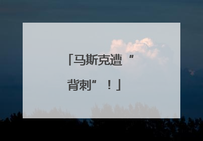 马斯克遭“背刺”！