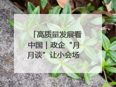 高质量发展看中国｜政企“月月谈”让小会场撬动大营商