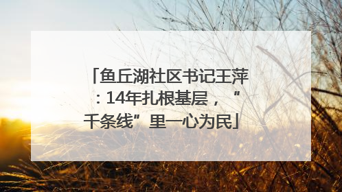 鱼丘湖社区书记王萍：14年扎根基层，“千条线”里一心为民