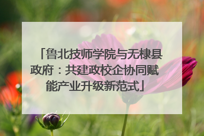 鲁北技师学院与无棣县政府：共建政校企协同赋能产业升级新范式