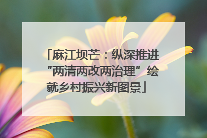 麻江坝芒：纵深推进“两清两改两治理”绘就乡村振兴新图景