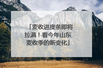 麦收进度条即将拉满！看今年山东麦收季的新变化