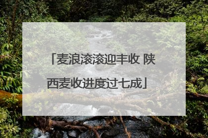 麦浪滚滚迎丰收 陕西麦收进度过七成