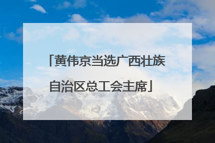 黄伟京当选广西壮族自治区总工会主席