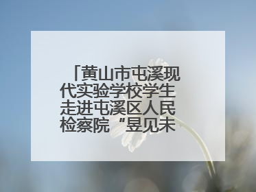 黄山市屯溪现代实验学校学生走进屯溪区人民检察院“昱见未来”青少年法治教育宣传基地