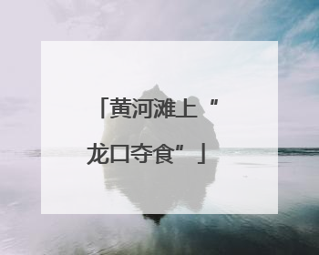 黄河滩上“龙口夺食”