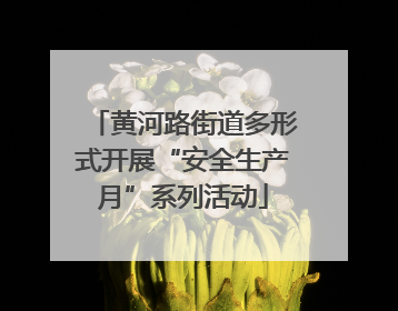 黄河路街道多形式开展“安全生产月”系列活动